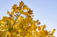 Золотая осень по-тульски, Фото: 29