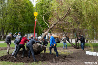 В Центральном парке Тулы высадили крупномерные саженцы ивы, Фото: 12