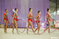 Всероссийские соревнования по художественной гимнастике на призы Посевиной, Фото: 117