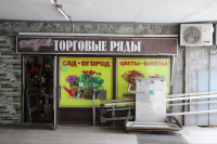 Предприниматели просят сохранить торговые ряды в подземном переходе на ул. Мосина в Туле, Фото: 11