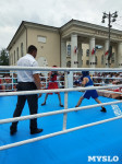 Турнир по боксу в Алексине, Фото: 14