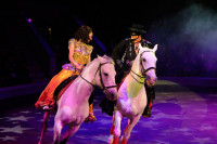 Цирк «Вива, Зорро!» в Туле , Фото: 5