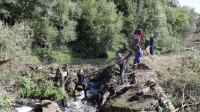 Тульские спасатели развернули полевой лагерь для расчистки русла реки Шиворонь, Фото: 19