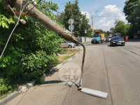На ул. Оружейной в Туле упали два столба, провода оторвали трамваю пантограф, Фото: 13