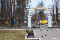 Посадка саженцев в Комсомольском парке, Фото: 4