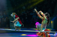 Цирковое шоу Жар птица, Фото: 72