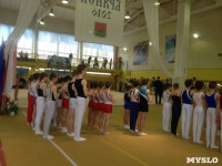 Туляки на соревнованиях по спортивной гимнастике в Брянске., Фото: 27