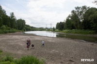 Почему обмелел пруд в Рогожинском парке Тулы?, Фото: 14