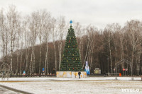 Уборка новогодних площадок в Туле. 26 декабря 2015 года, Фото: 5
