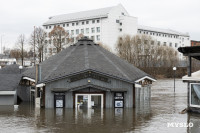 Упа в Туле затопила детскую площадку и кафе на Пролетарской набережной, Фото: 7