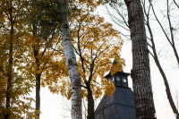 Золотая осень в Туле-2019, Фото: 39