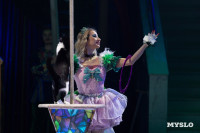 Цирковое шоу Жар птица, Фото: 21