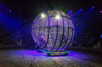 "Чудеса под Новый год" в Тульском цирке, Фото: 85