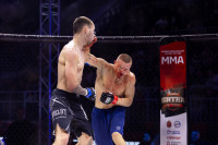 Битва за Тулу-2026, Фото: 165