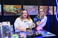 Конференция «СТАРТ в IT» в Туле: для тех, кто хочет работать в IT-сфере, Фото: 15