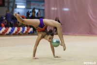 Всероссийский турнир по художественной гимнастике, Фото: 79