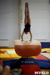Спортивная гимнастика в Туле 3.12, Фото: 145