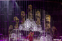Шоу фонтанов «13 месяцев» в Тульском цирке – подарите себе и близким путевку в сказку!, Фото: 65