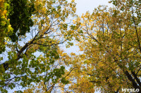 Золотая осень по-тульски, Фото: 32