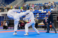 Тульская сборная взяла первое место на турнире по всестилевому каратэ, Фото: 8