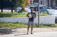 В Туле прошла выставка собак всех пород: фоторепортаж, Фото: 92