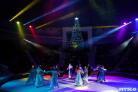 Премьера новогоднего шоу в Тульском цирке, Фото: 70