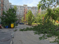 вырубка деревьев во дворе дома №33 по ул. Горького в Туле, Фото: 2