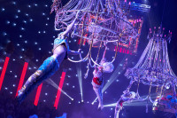 Новое грандиозное шоу Гии Эрадзе «Королевский цирк» стартует в Тульском цирке, Фото: 52