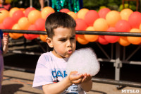 «Евраз Ванадий Тула» организовал большой праздник для детей в Пролетарском парке Тулы, Фото: 3