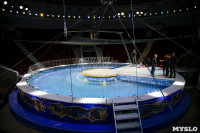 Цирк на воде, Фото: 9