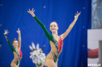 Соревнования по художественной гимнастике на призы благотворительного фонда «Земляки», Фото: 147