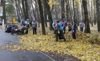 В Туле прошел общегородской субботник, Фото: 18