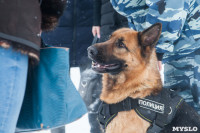 "Студенческий десант" - 2017., Фото: 53