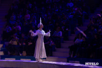 Цирковое шоу Жар птица, Фото: 149