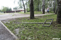 Березовая роща на ул. Декабристов, Фото: 8