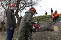 Миляев субботник , Фото: 24