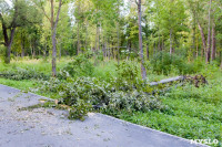 В Баташевском саду из-за непогоды упали вековые деревья, Фото: 1