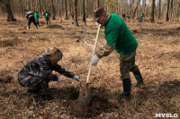 Посадка деревье в Ясной Поляне. 17.04.2015, Фото: 15