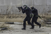 В Туле бойцы спецподразделений тренировались искать и задерживать преступников, Фото: 4
