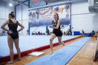 Всероссийские соревнования по спортивной гимнастике, Фото: 4
