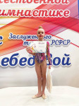 Тулячки завоевали медали на Всероссийских соревнованиях по художественной гимнастике, Фото: 5