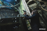 Двойник Кеану Ривза из экзотариума, Фото: 9