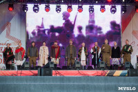 Праздничный концерт и салют Победы в Туле, Фото: 46