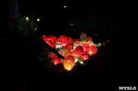 Фестиваль водных фонариков в Белоусовском парке, Фото: 22