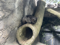 , Фото: 9