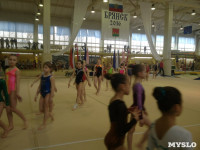 Туляки на соревнованиях по спортивной гимнастике в Брянске., Фото: 4