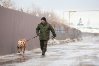 Как живет собачий патруль Туламашзавода, Фото: 2