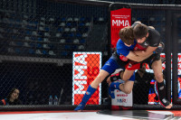 В «Тула-Арене» состоялись областные соревнования по ММА, Фото: 17