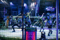 Новое грандиозное шоу Гии Эрадзе «Королевский цирк» стартует в Тульском цирке, Фото: 79