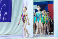 Тула провела крупный турнир по художественной гимнастике, Фото: 190